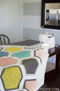 2017 Quilty Love Quilts